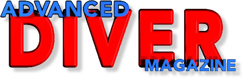 ADMlogo.jpg (32991 bytes)