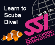 Online Scuba