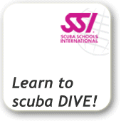 SSI Online Training & Online Services