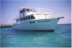 boat_1.jpg (14645 bytes)